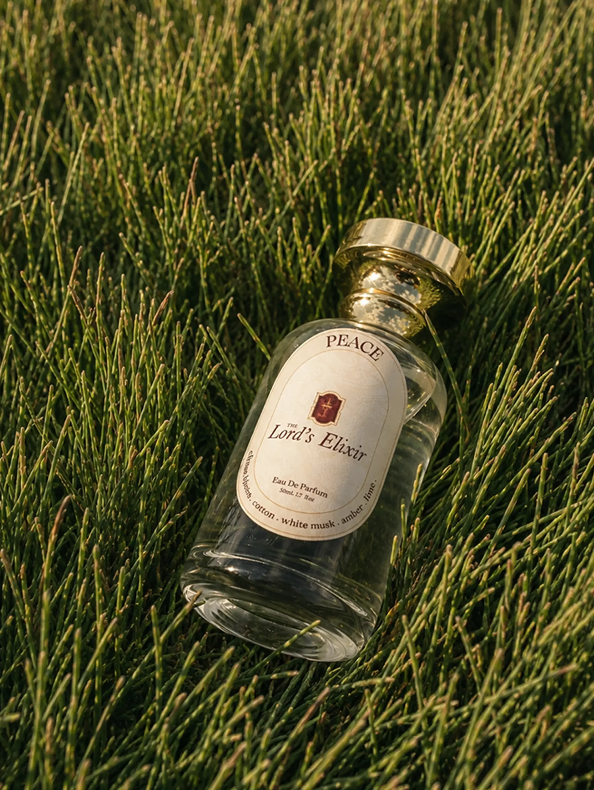 Elegant perfume in golden light 5 (2)
