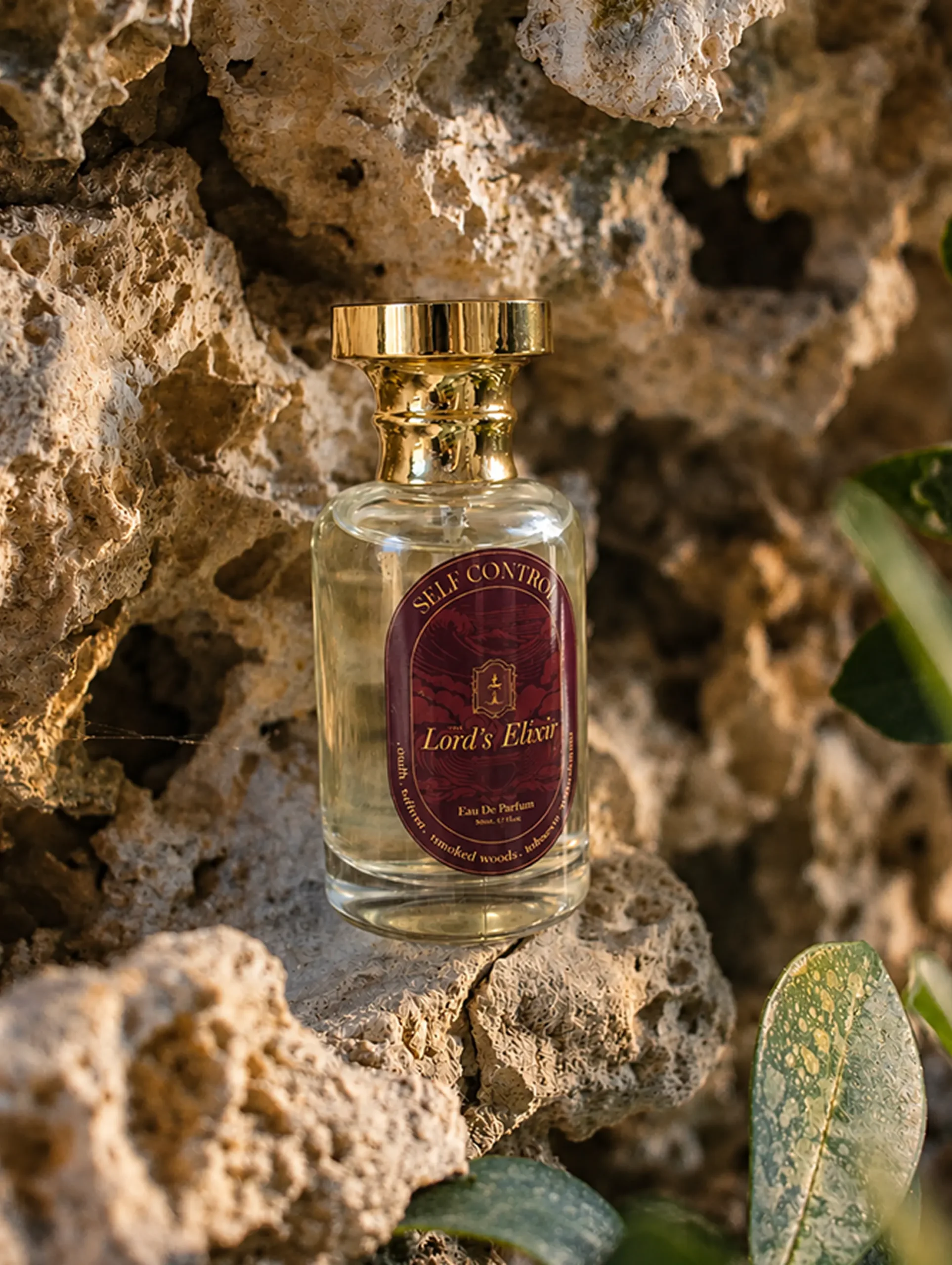 Elegant perfume in golden light 5